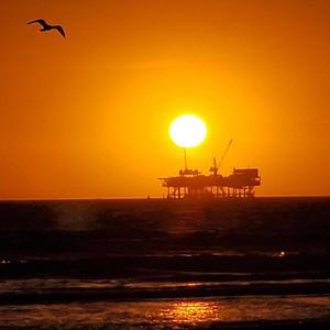 欧美真人夫妻做爱视频片段
