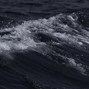 欧美真人夫妻做爱视频片段
